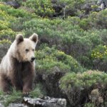 5 ferris y travesías largas que son un viaje en sí mismos »